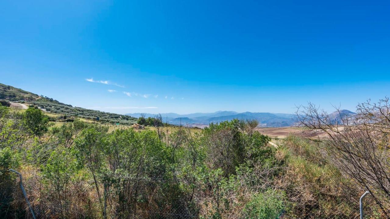 Los Olivos Antequera - Los Nogales By Ruralidays Eksteriør billede
